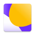 chelnok android application logo